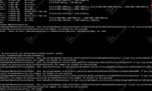 登录挑战 Gmail账号或密码错误的解决方法